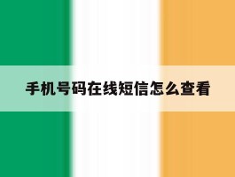 手机号码在线短信怎么查看