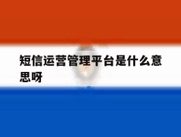 短信运营管理平台是什么意思呀的简单介绍