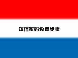 短信密码设置步骤