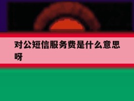 对公短信服务费是什么意思呀