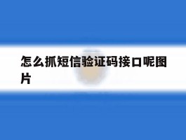 怎么抓短信验证码接口呢图片