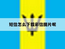 短信怎么下载彩信图片呢