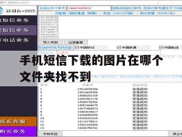 手机短信下载的图片在哪个文件夹找不到