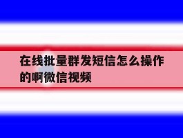 在线批量群发短信怎么操作的啊微信视频