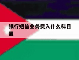 银行短信业务费入什么科目里